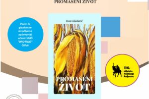 Pink Blob Organic Stationary A4 Document