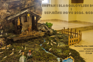 Red Video-centric Merry Christmas Video (8)